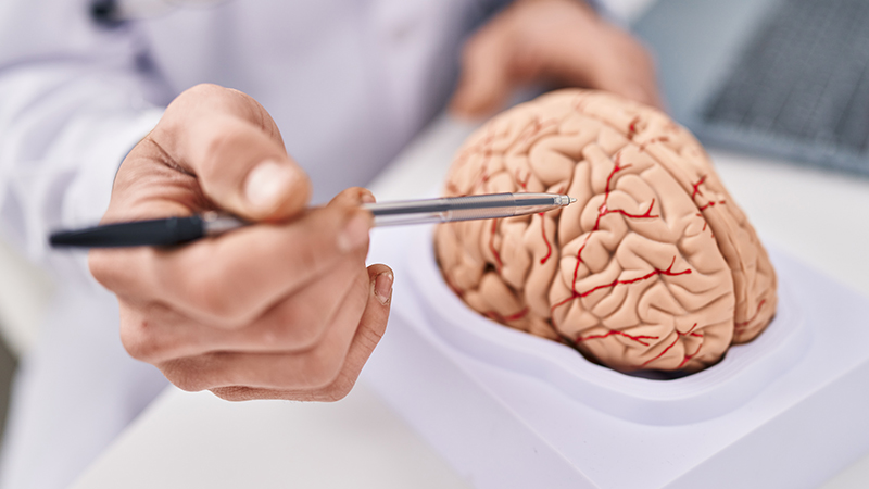 Psychiatry Education